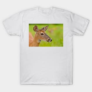 White-tailed Deer T-Shirt